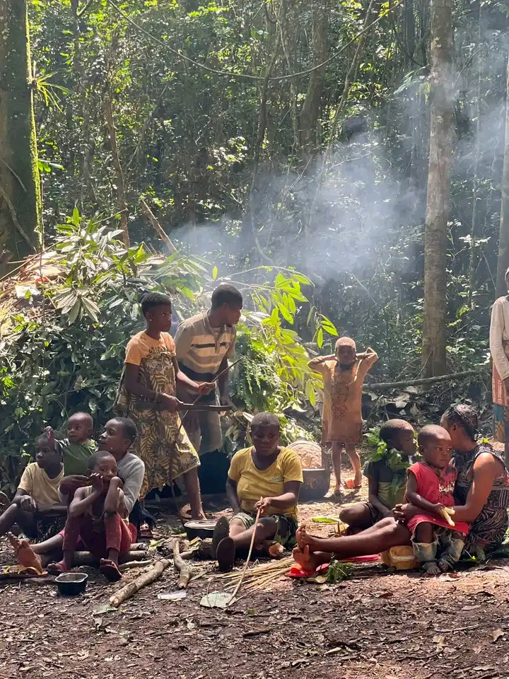 Les Pygmées Baka Est Cameroun